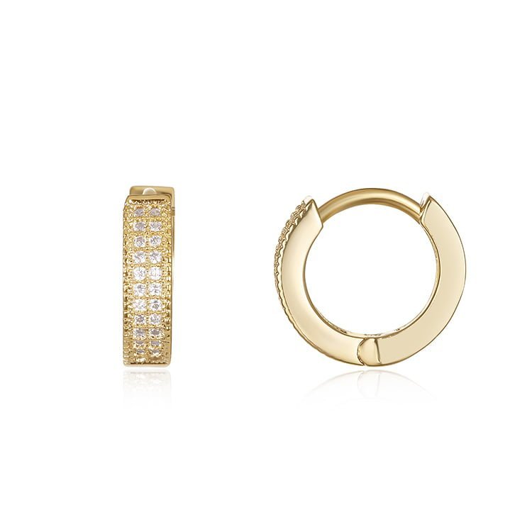 Double row zircon earrings SES01103